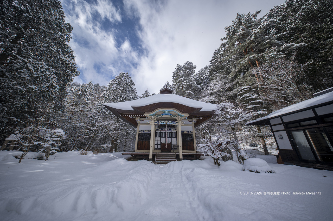 20260125-_DSC9708 のコピー