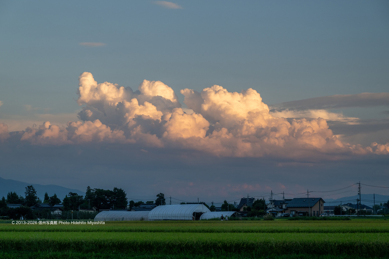 20260822-_DSC1348 のコピー