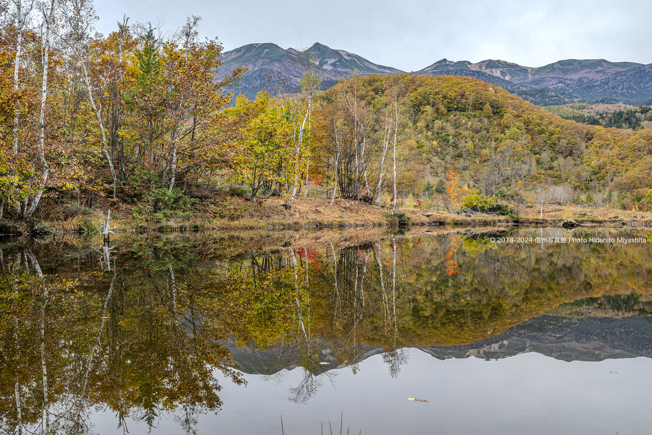 20241026-_DSC5149 のコピー