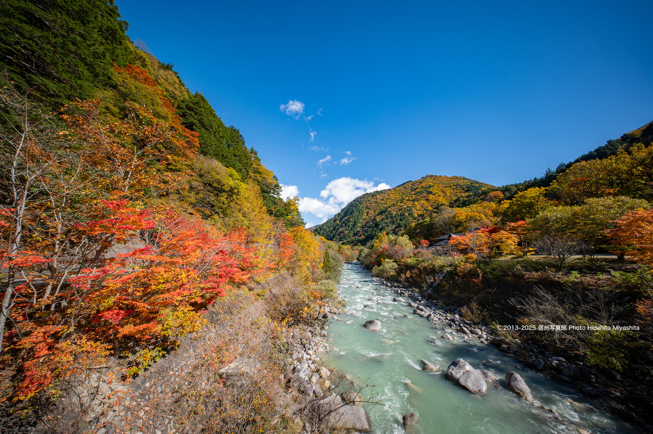 20251101-_DSC2801 のコピー