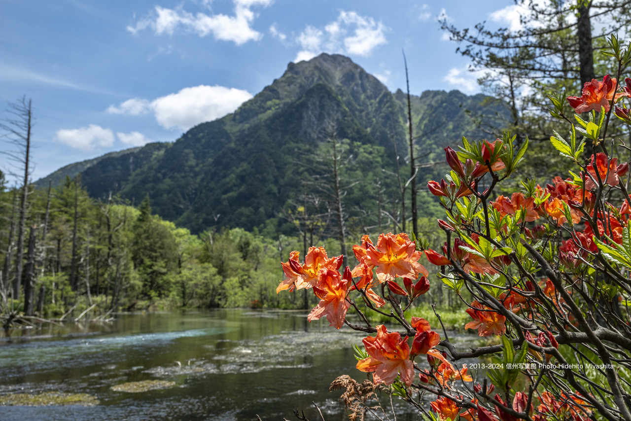 20240608-_DSC5619 のコピー