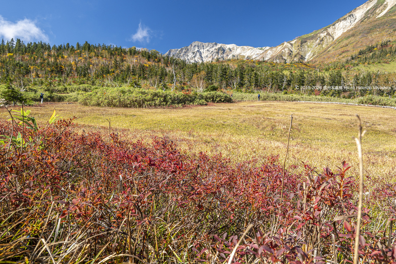 20241014-_DSC4734 のコピー