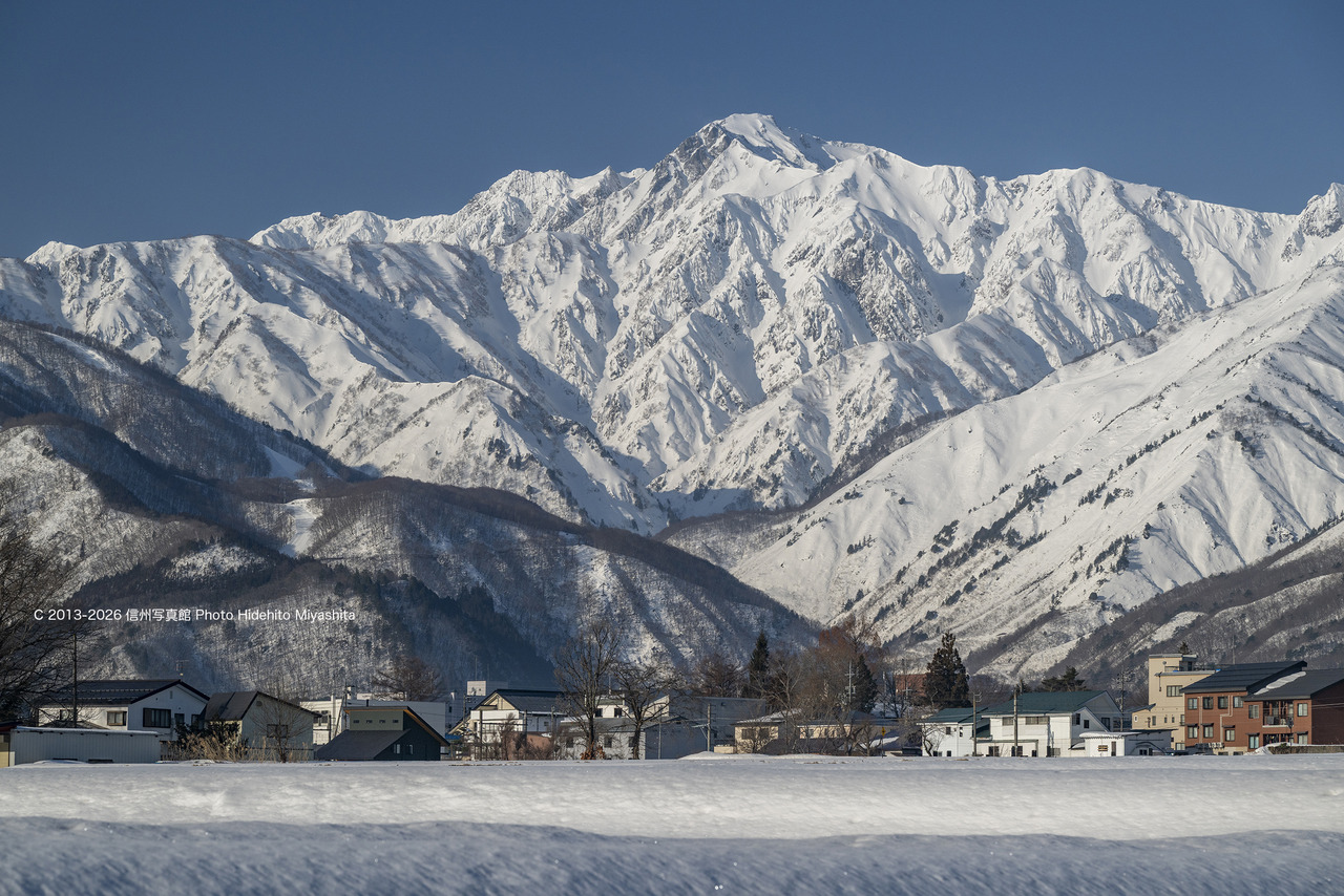 20260215-_DSC9352 のコピー