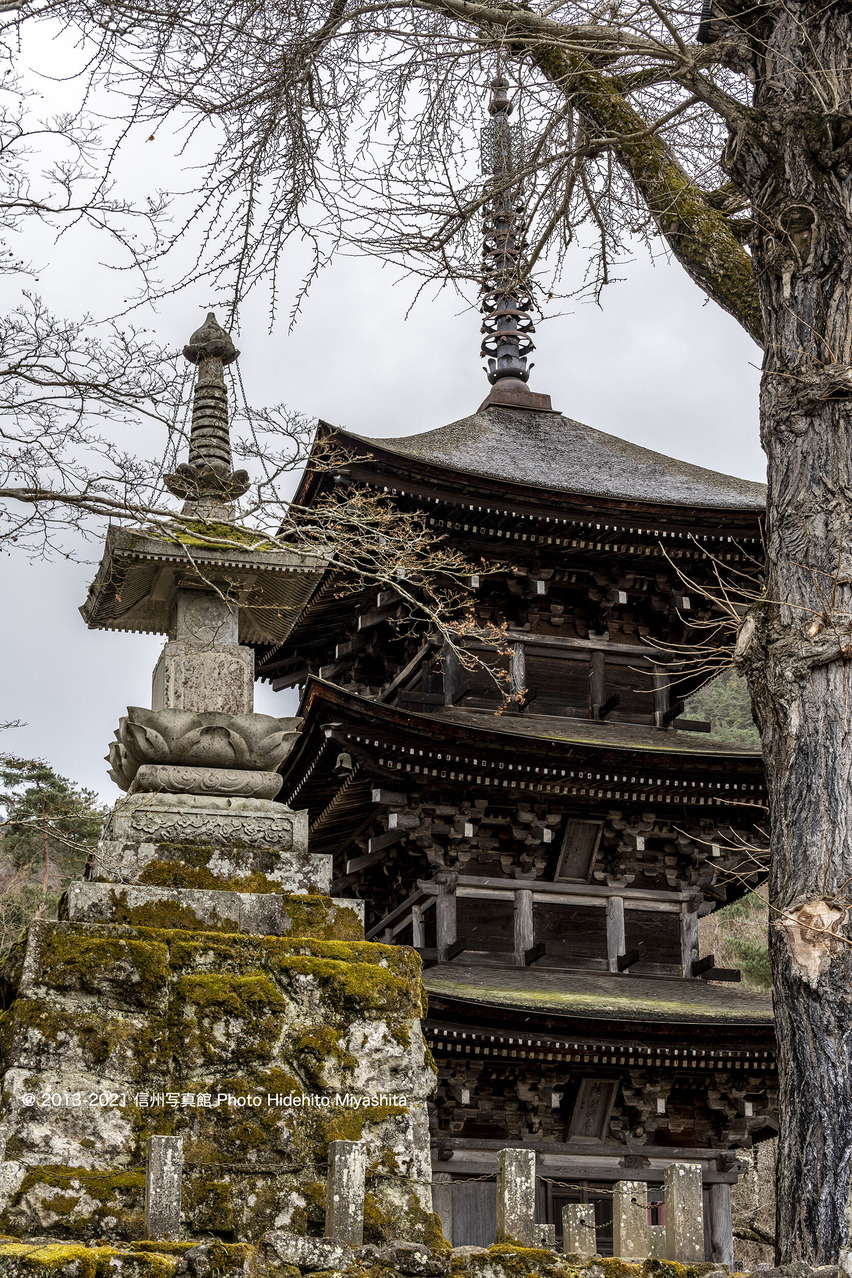 三重塔と石塔_20211226-_DSC5884
