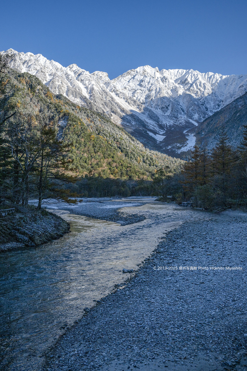 20251104-_DSC7397 のコピー