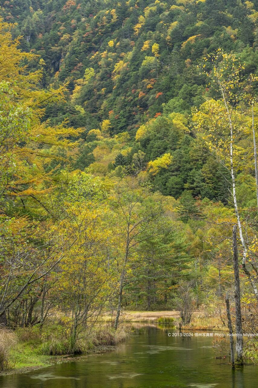 秋色の田代池 : 信州写真館