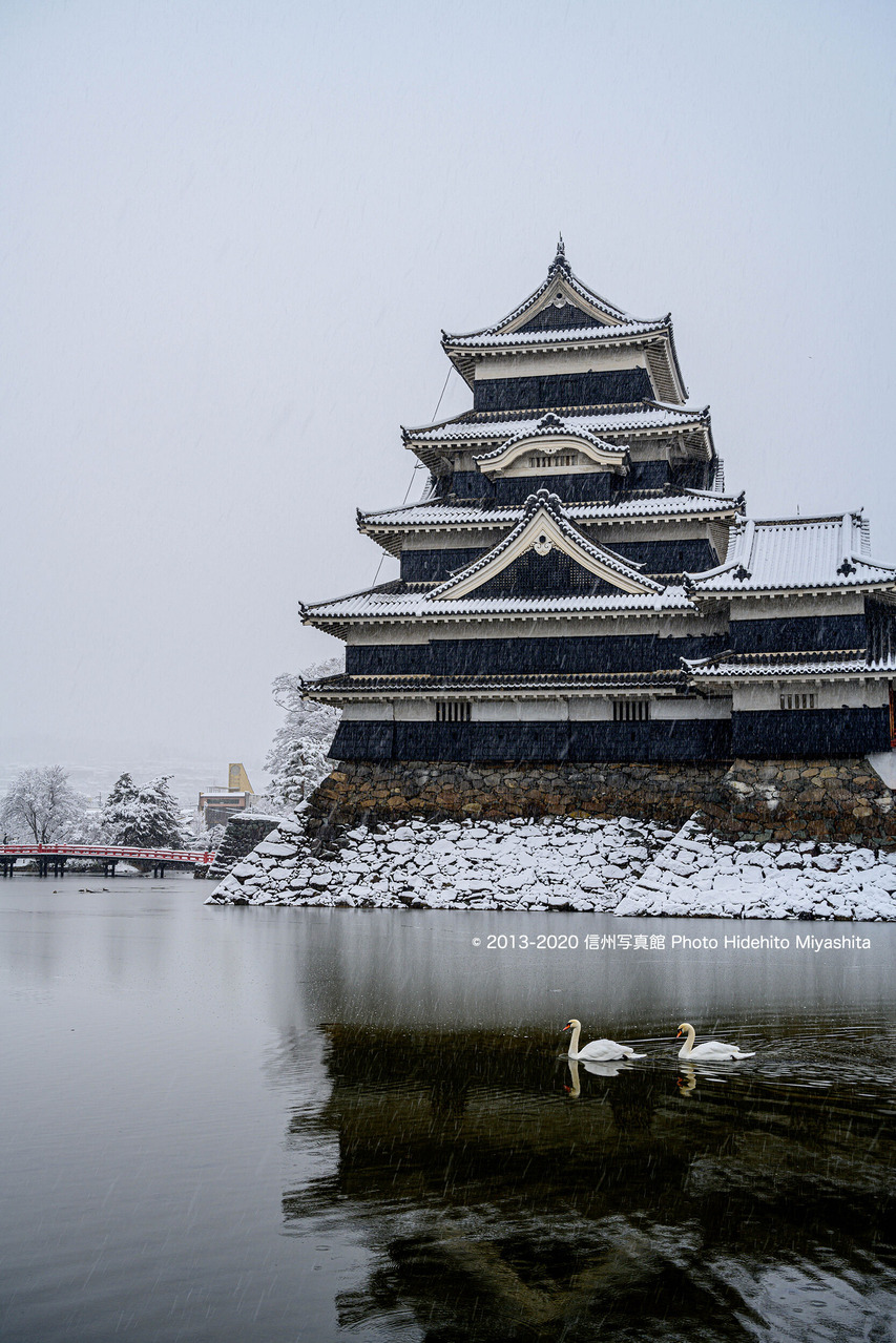 優雅に_20200128-_DSC7718