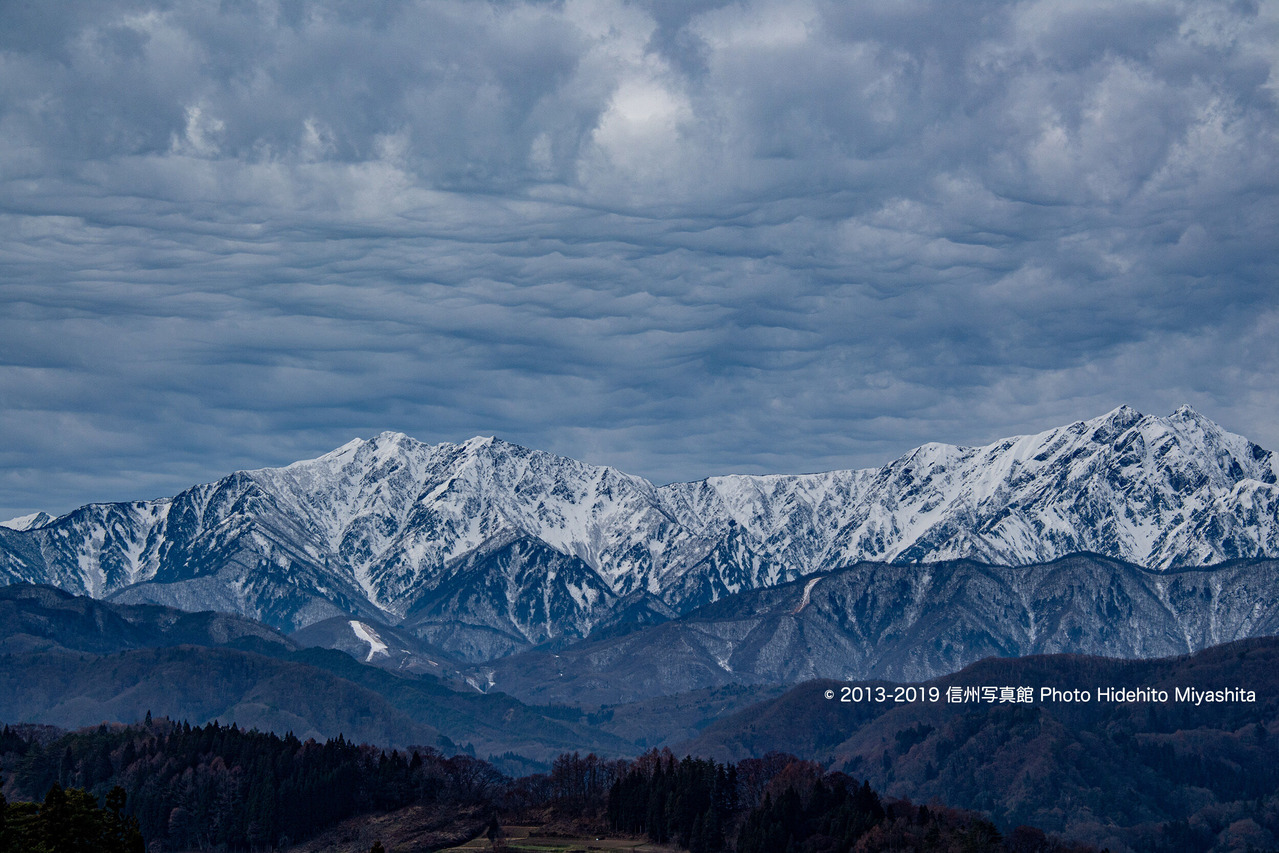 高曇りの空_20191211-_DSC8563
