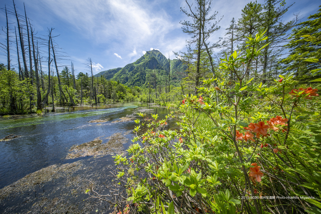20250621-DSC_0898 のコピー
