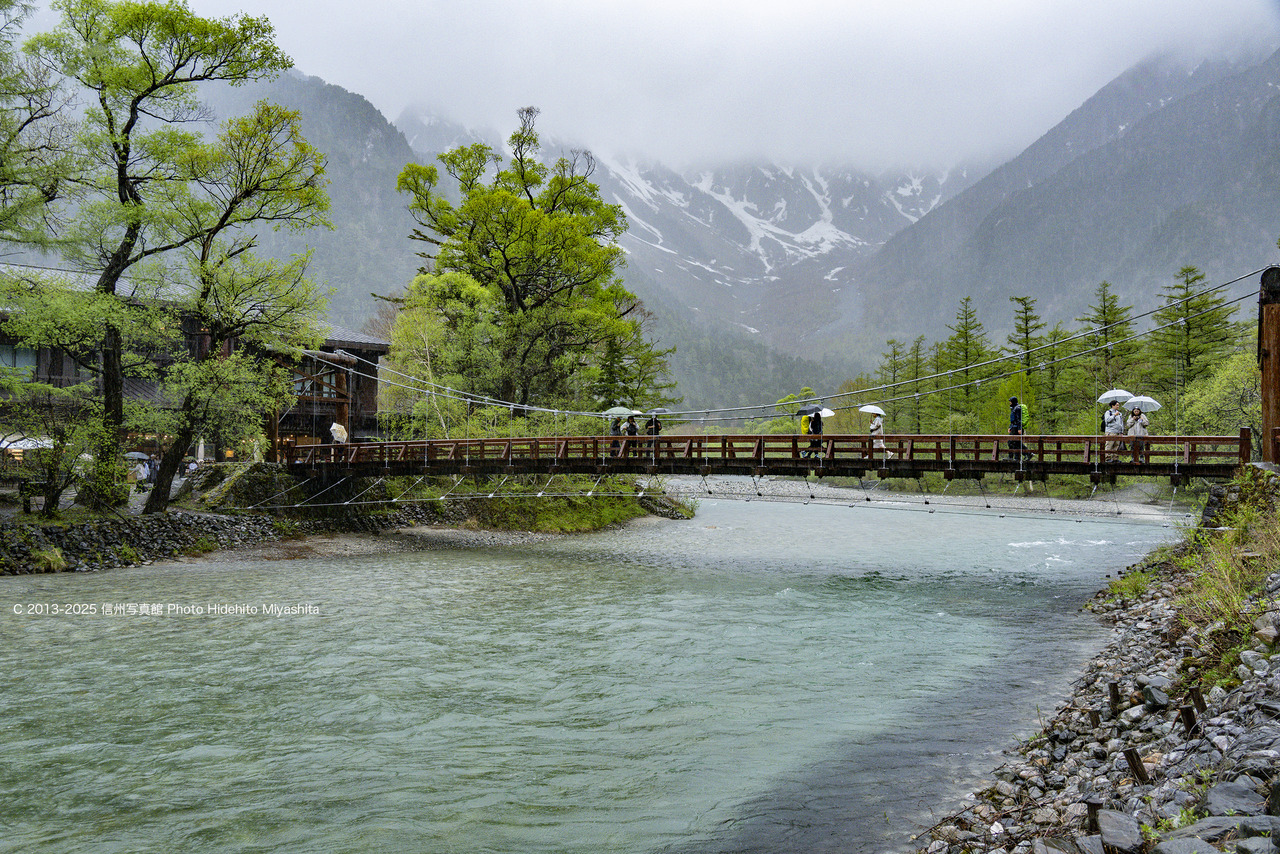 20250517-_DSC7041 のコピー