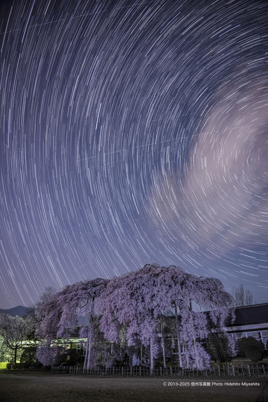 20250409-20250409-DSC_0059 のコピー のコピー