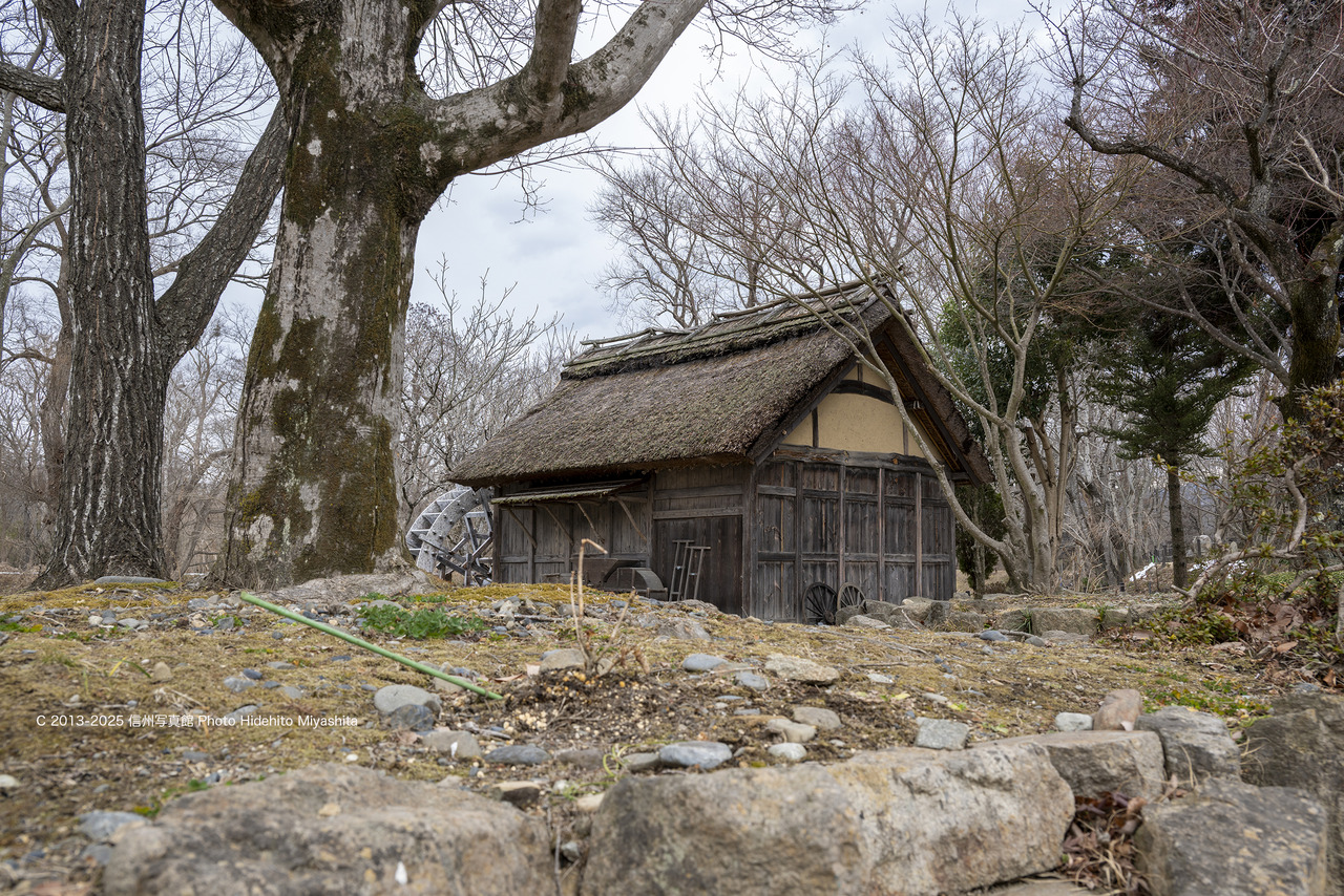 20250308-DSC_3733 のコピー