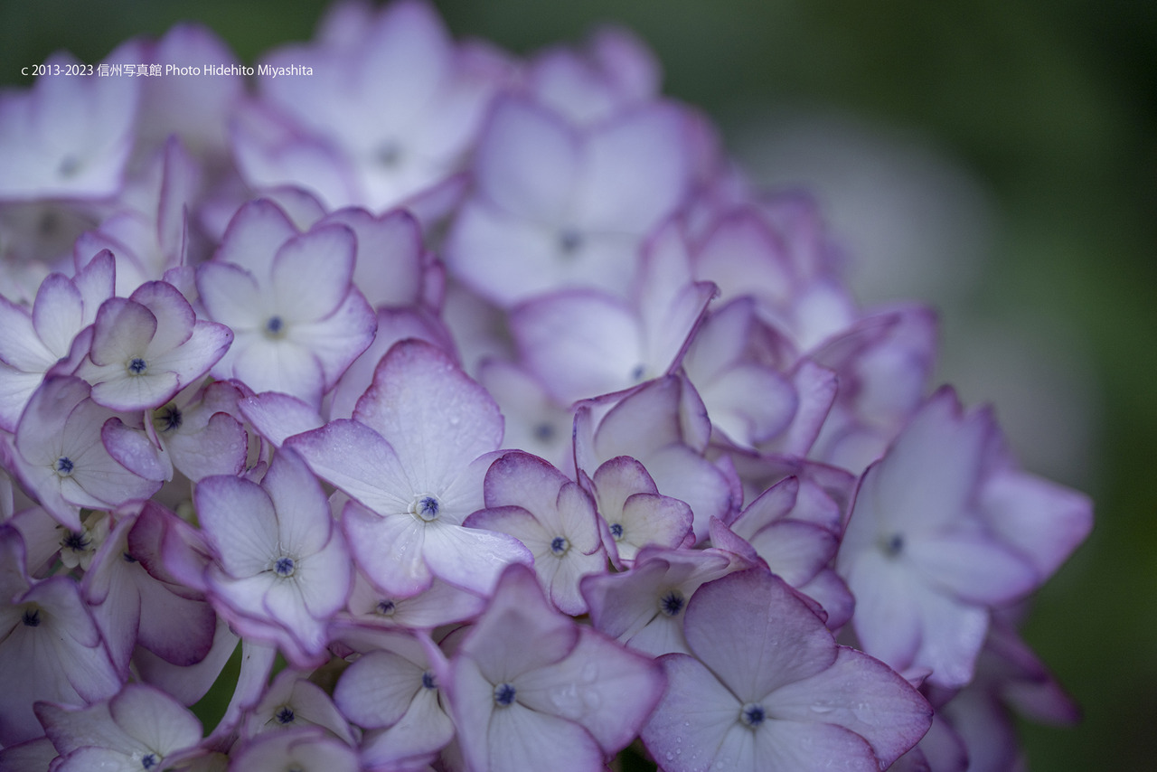 未来_20230624-DSC_4387