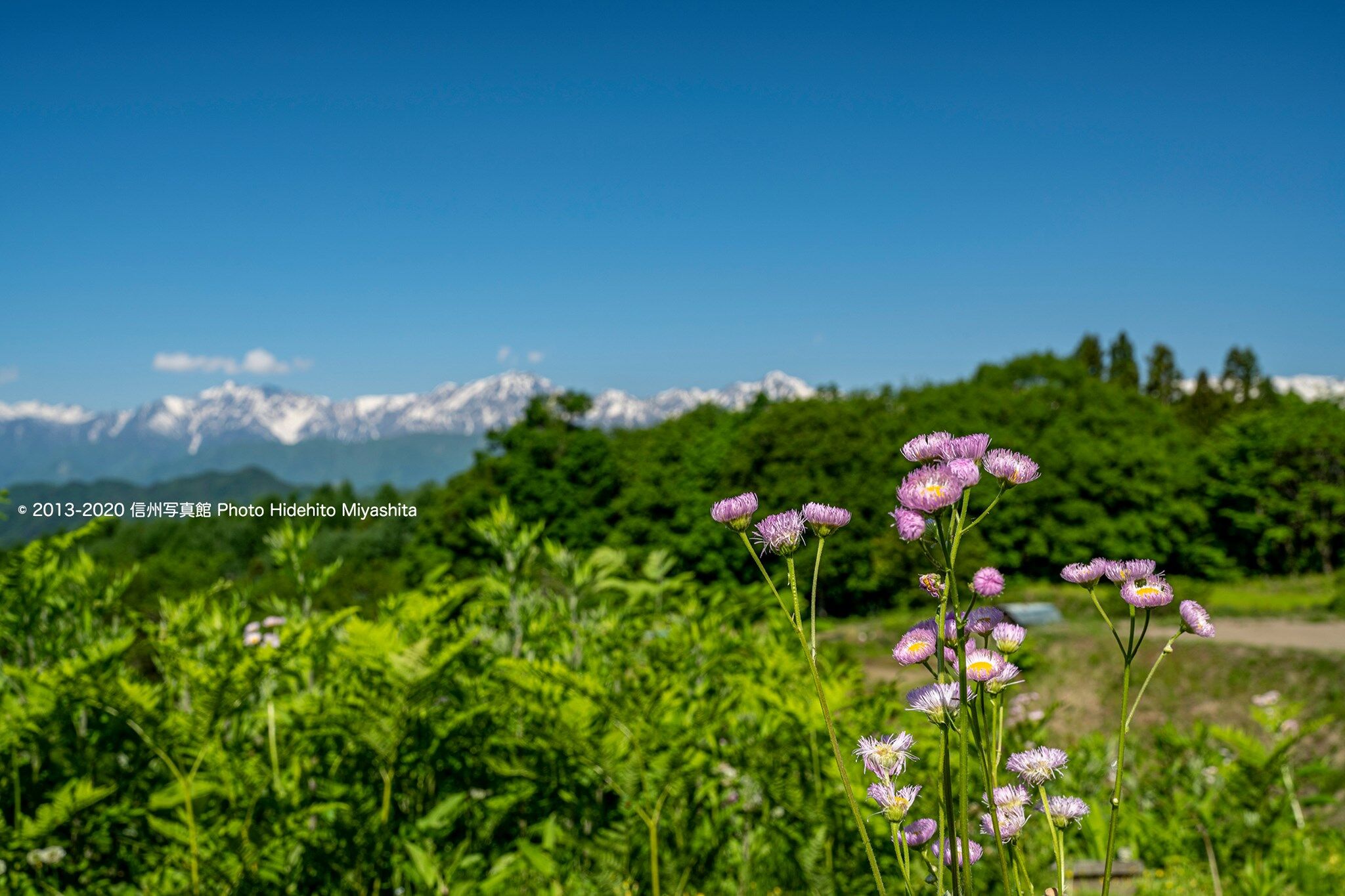 長閑なひと時 : 信州写真館