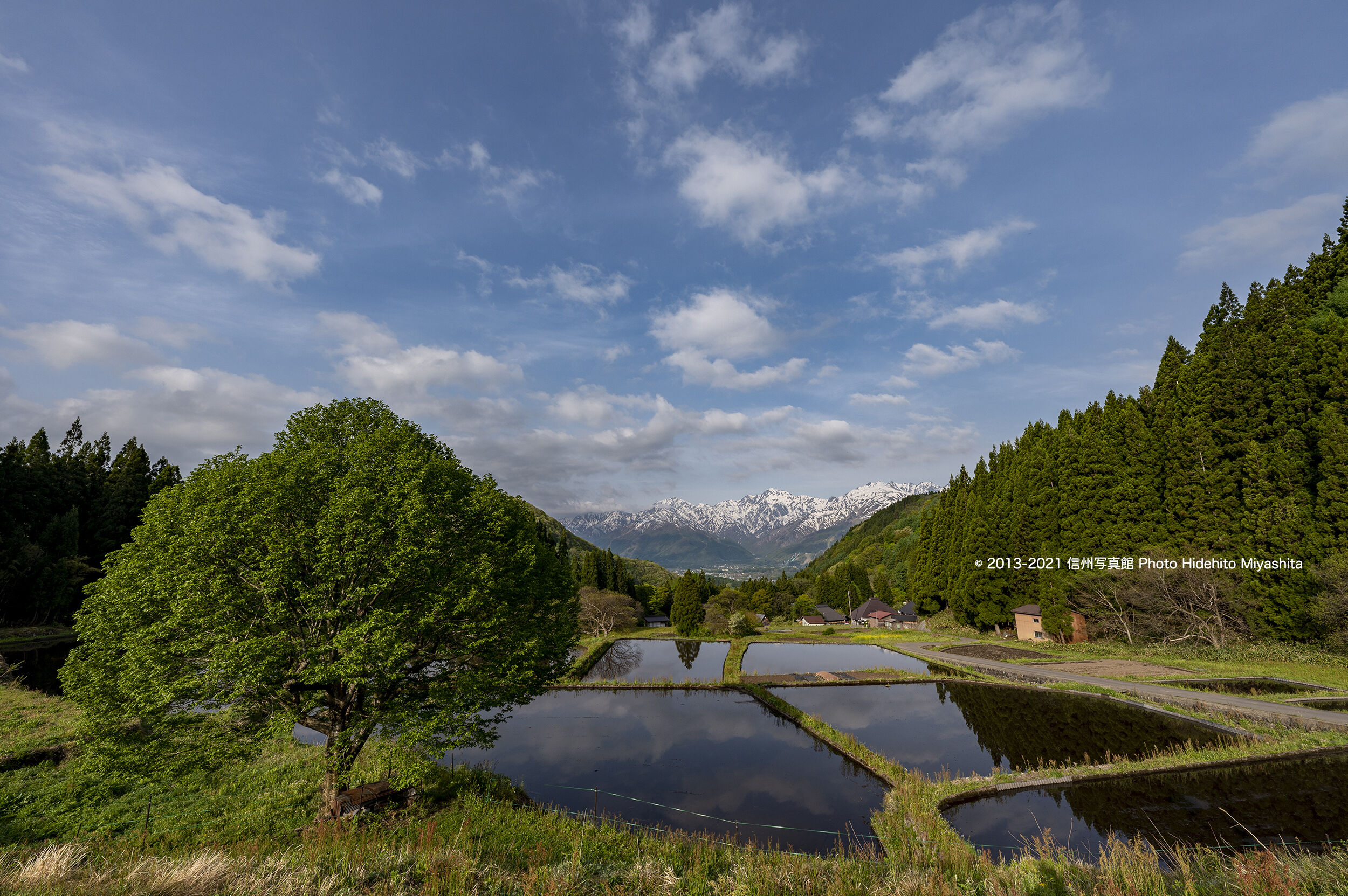 長閑な風景 : 信州写真館