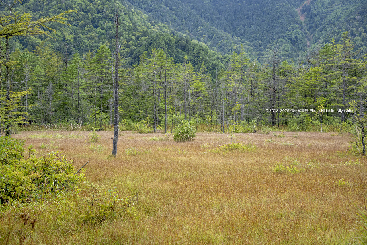 20250915-_DSC4359 のコピー