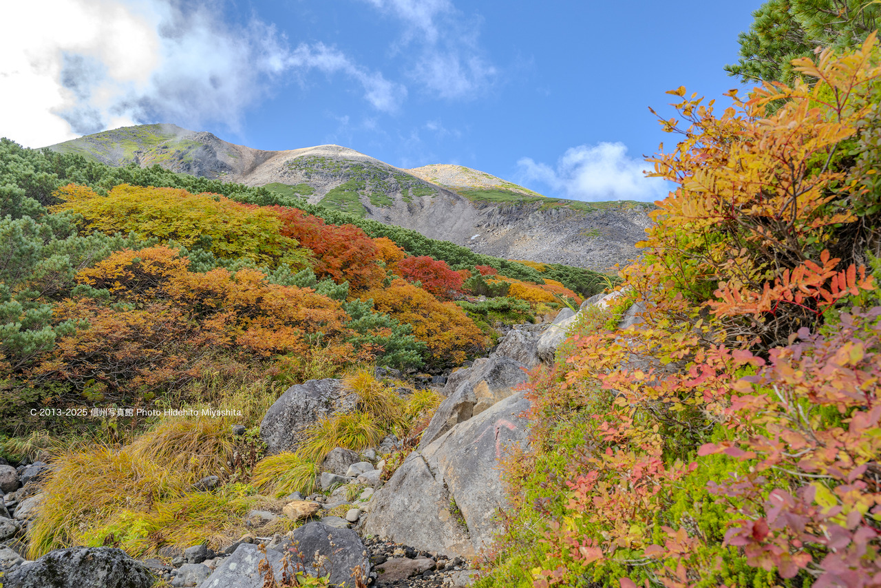 20250930-_DSC3536 のコピー