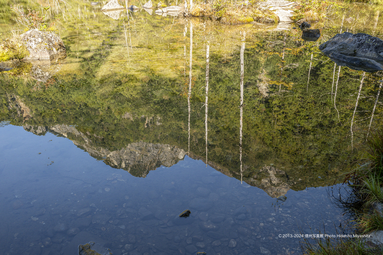 20241013-_DSC4094 のコピー