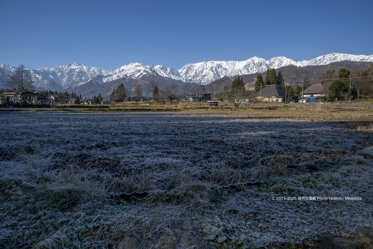 20251130-_DSC0676 のコピー