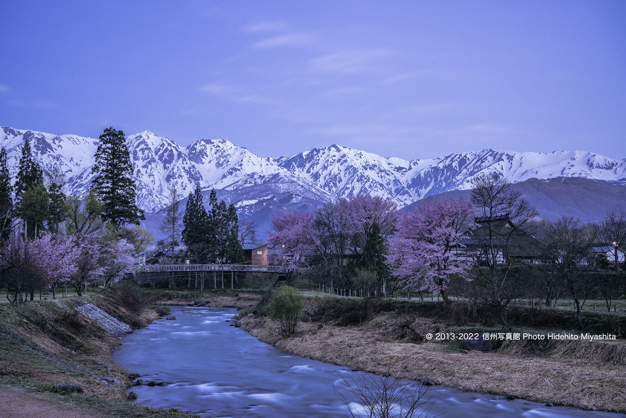 大出の春_20220423-_DSC2756