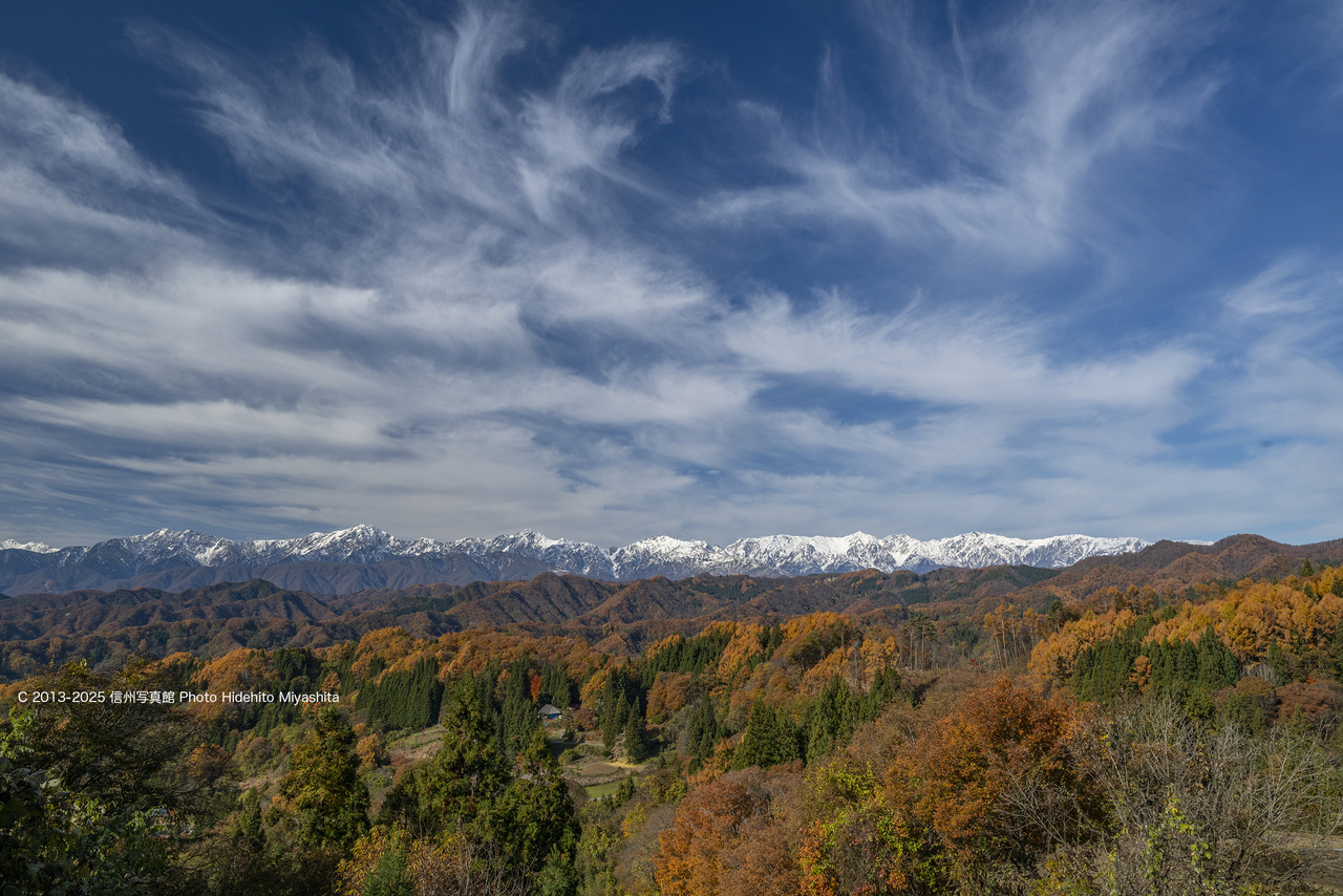 20251116-_DSC9132 のコピー