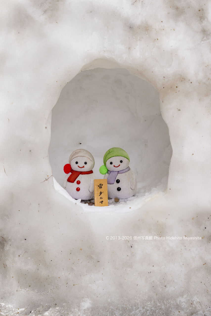 20260201-_DSC8560 のコピー