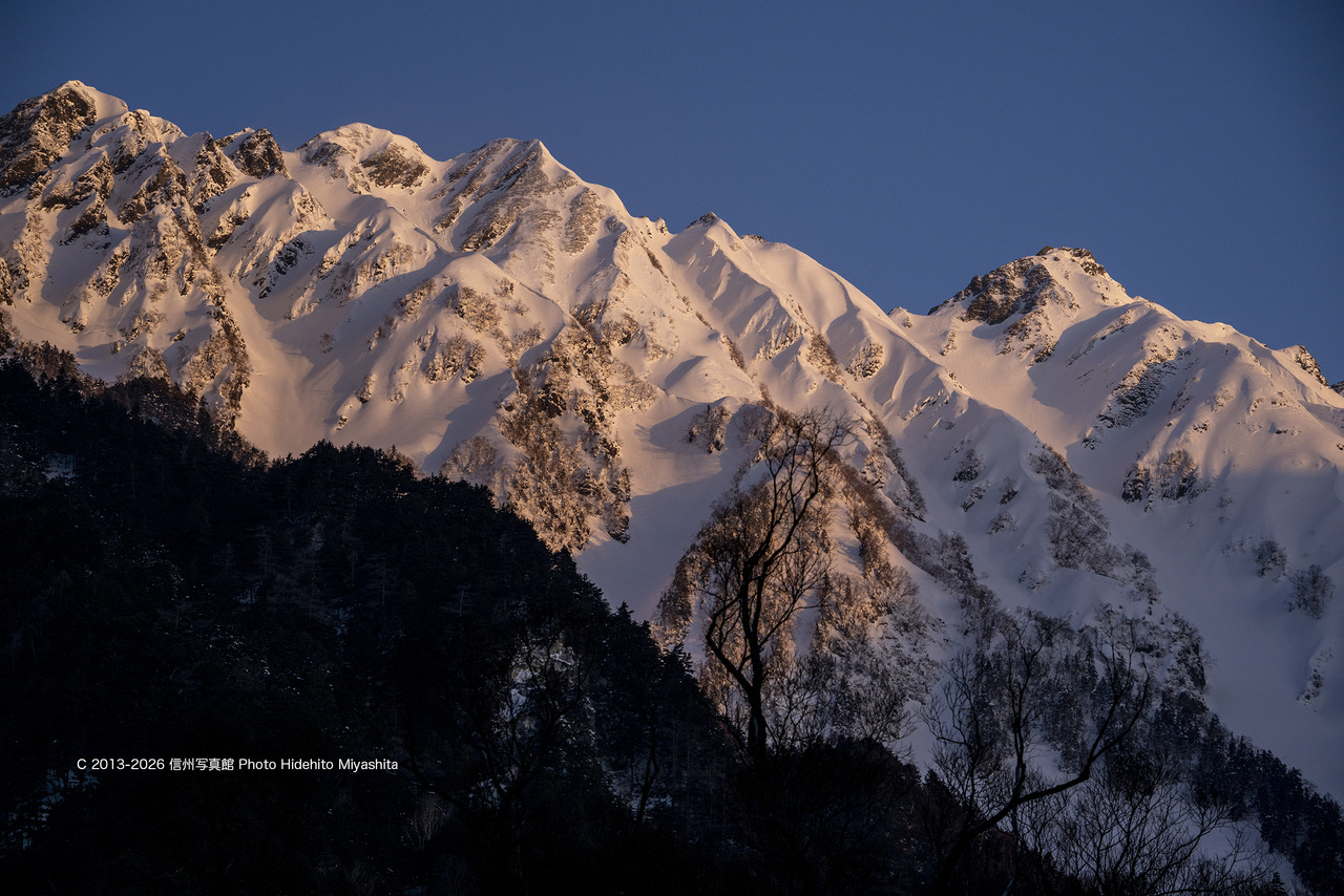 20260118-_DSC7875 のコピー