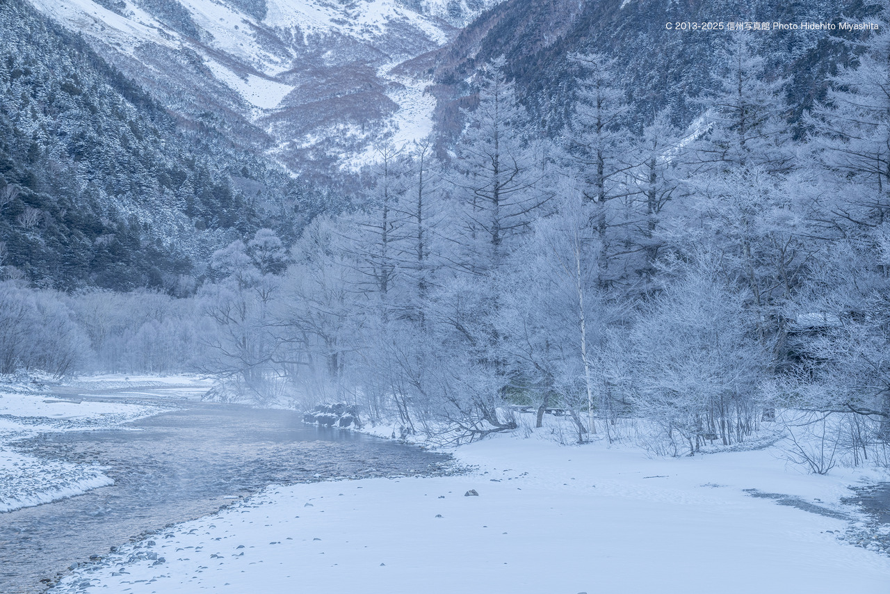 20251206-_DSC1041 のコピー