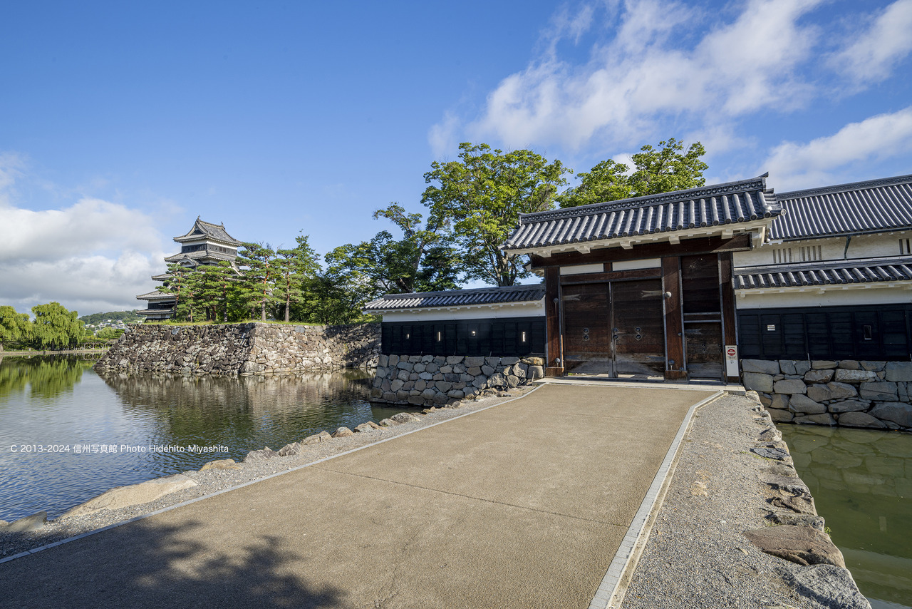 20240901-DSC_1846 のコピー