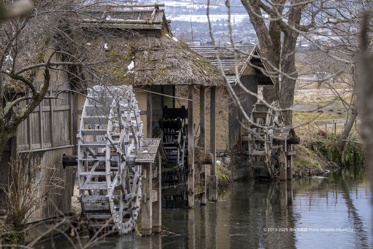 20250308-_DSC4457 のコピー