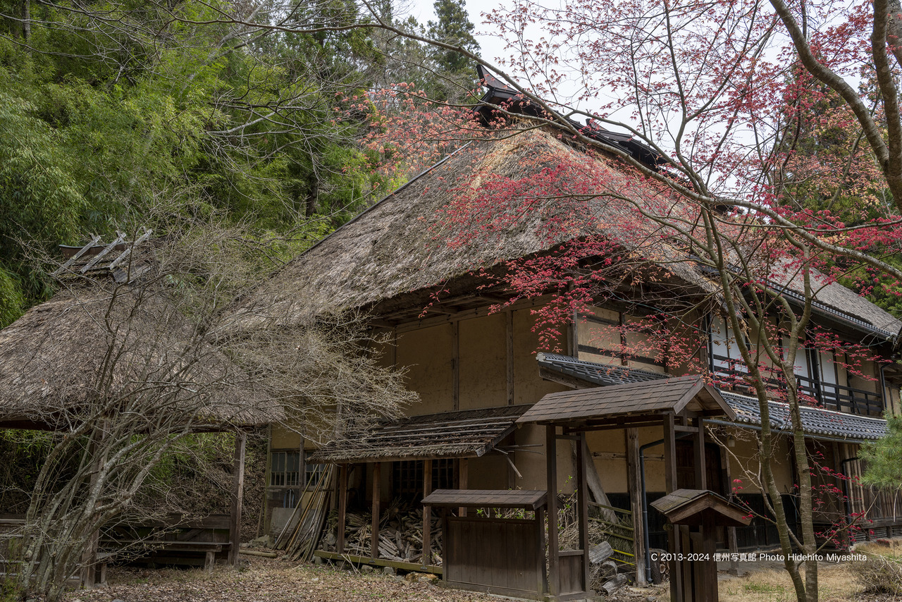 20240420-_DSC7612 のコピー