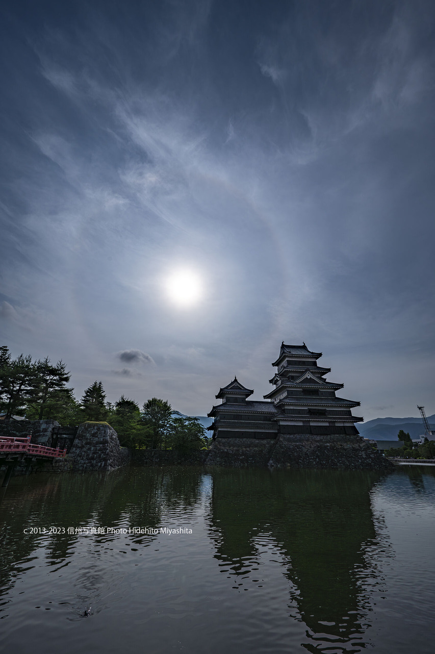 20230610-_DSC7902-強化-NR のコピー