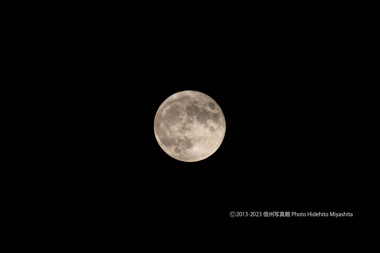 20230831-DSC_3736-強化-NR のコピー
