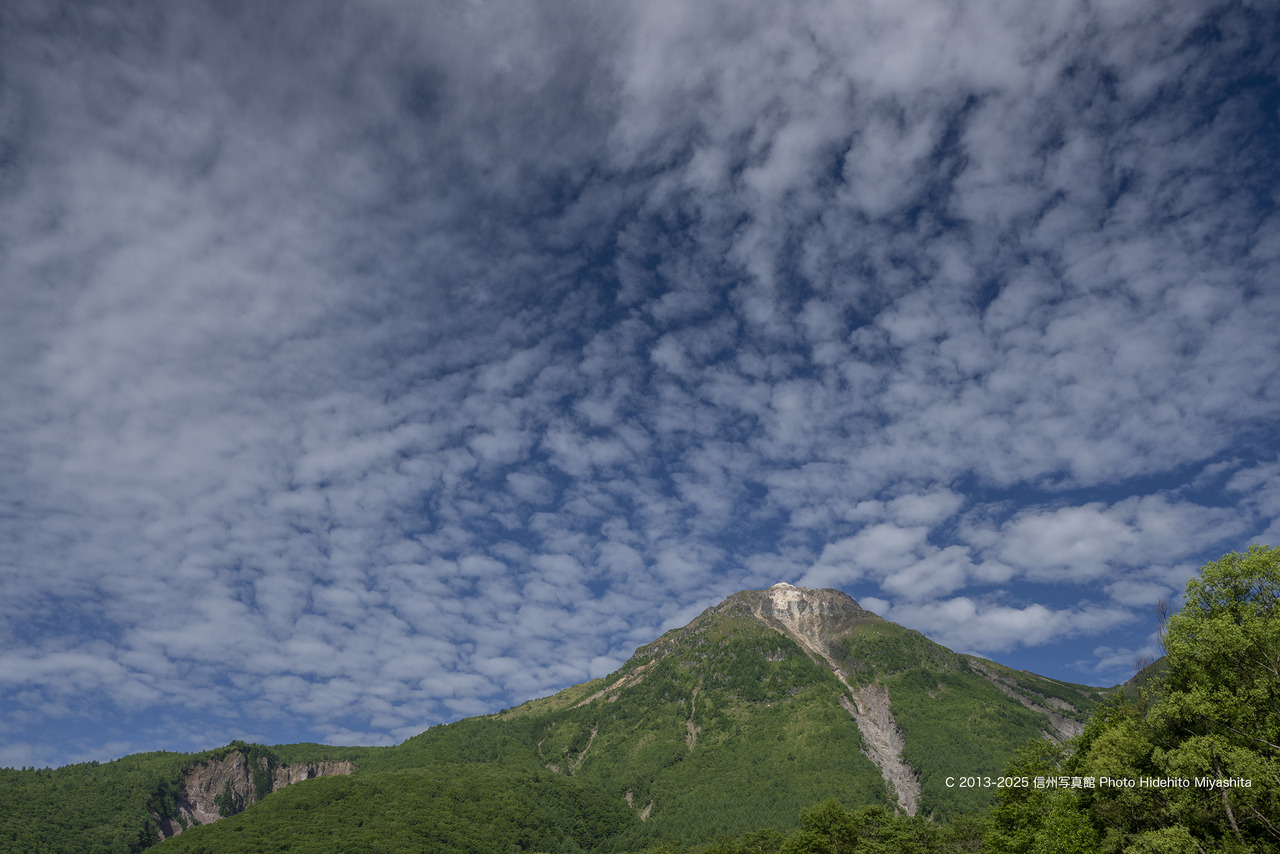 20250629-_DSC1152 のコピー