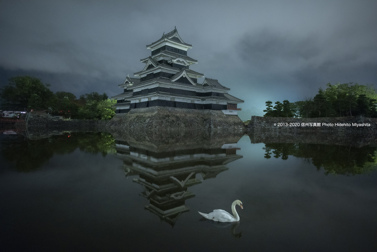 夜の松本城と白鳥_20200823-_DSC3062