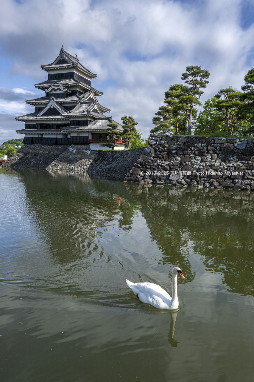 20250601-_DSC8705 のコピー