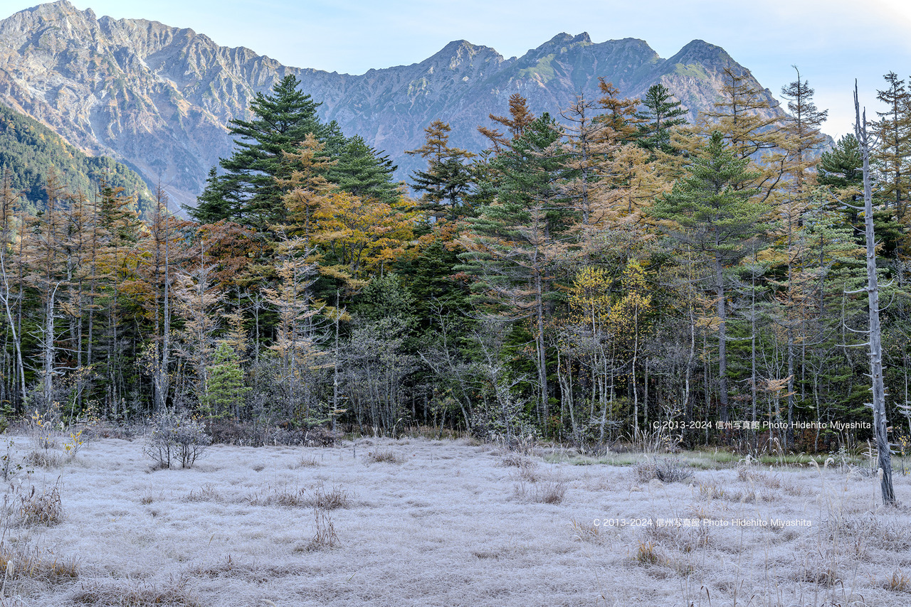 20241027-_DSC6666 のコピー