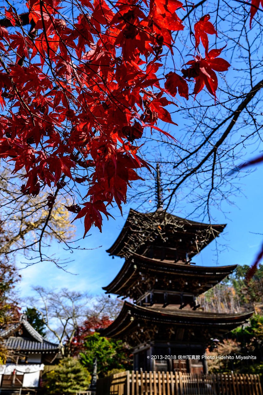 前山寺の紅葉
