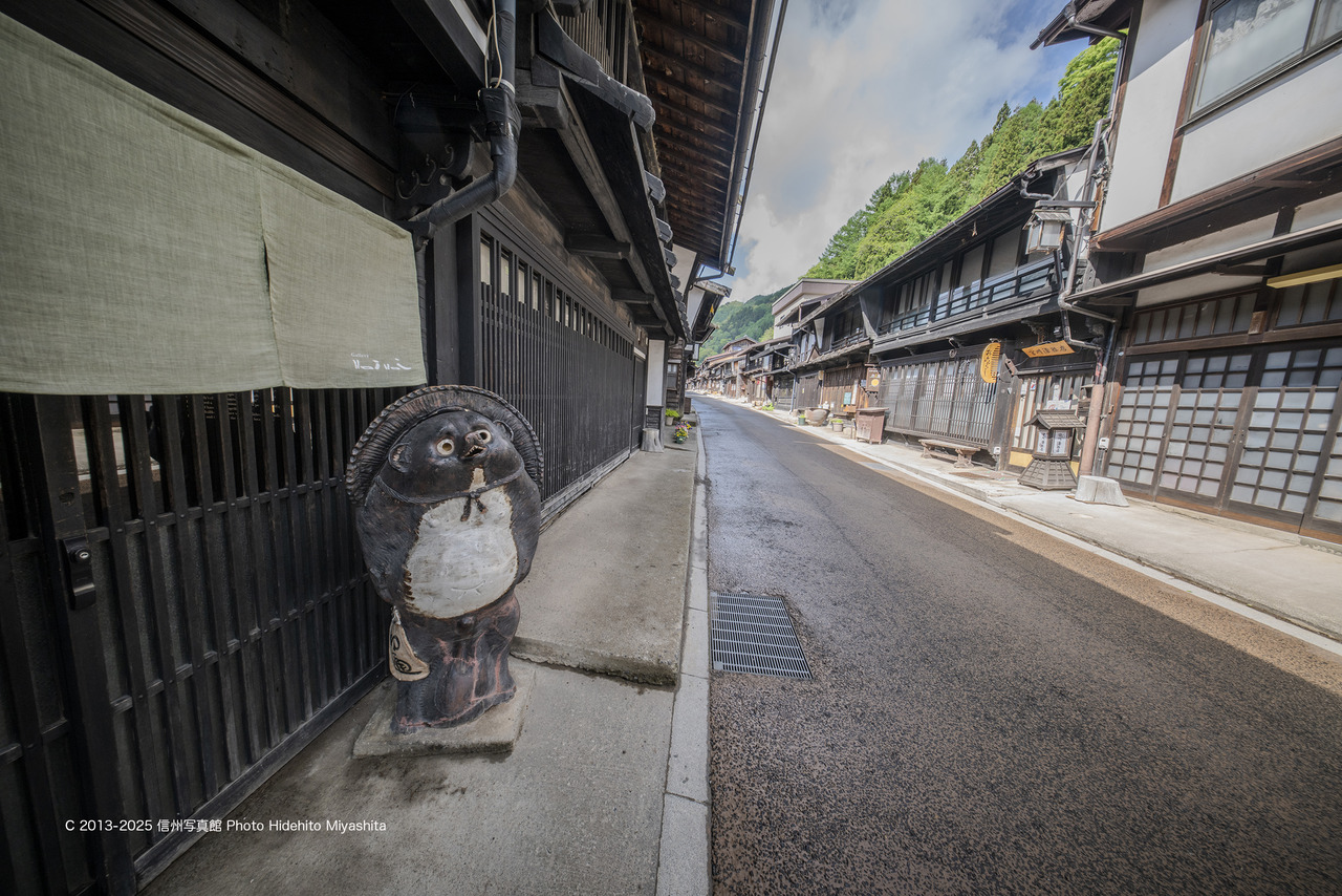 20250518-DSC_8110 のコピー