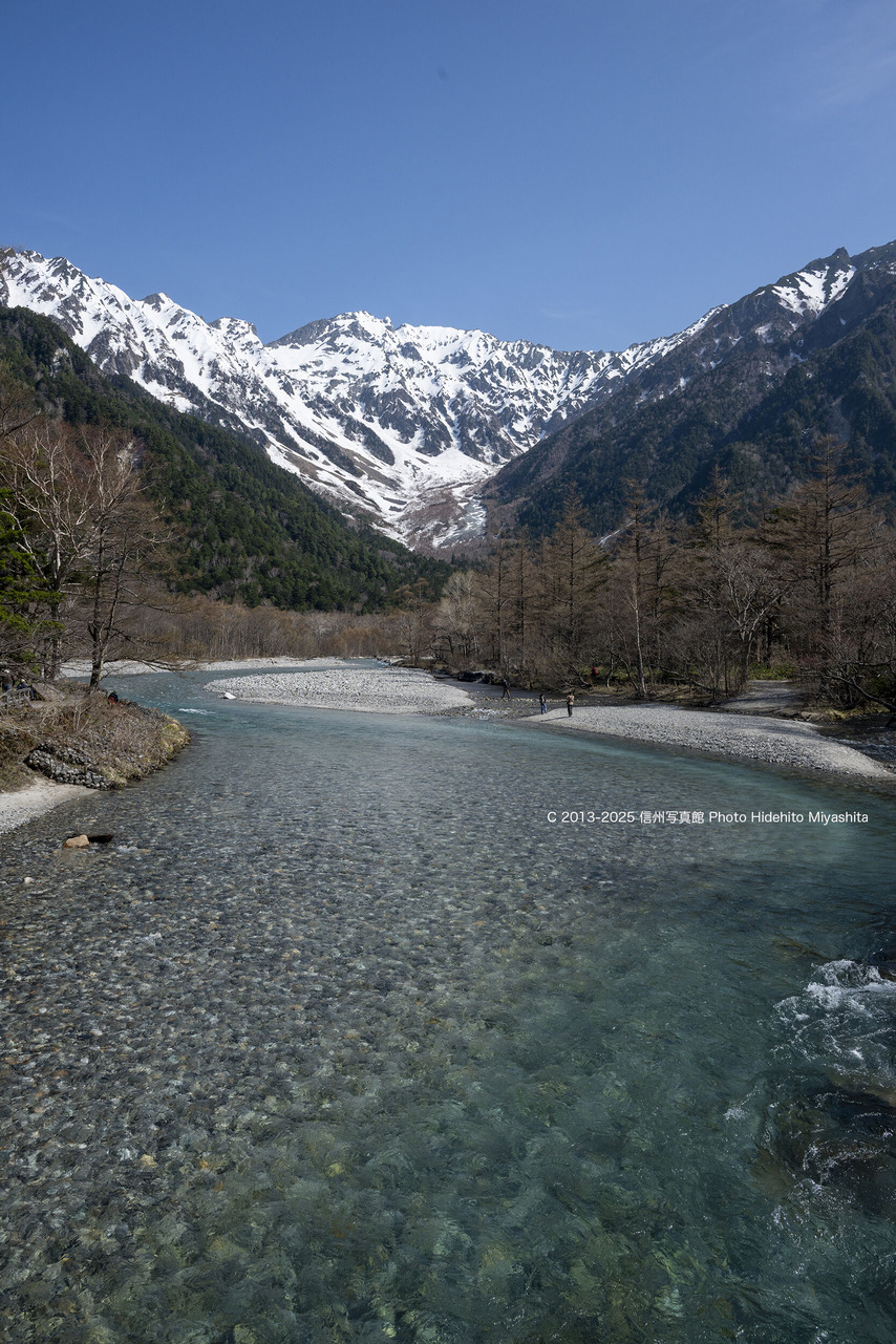 20250427-DSC_5082 のコピー