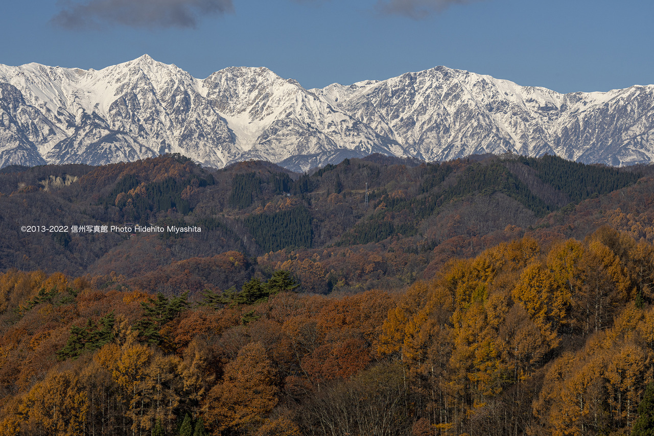 秋と冬の境界線_20221118-_DSC2400