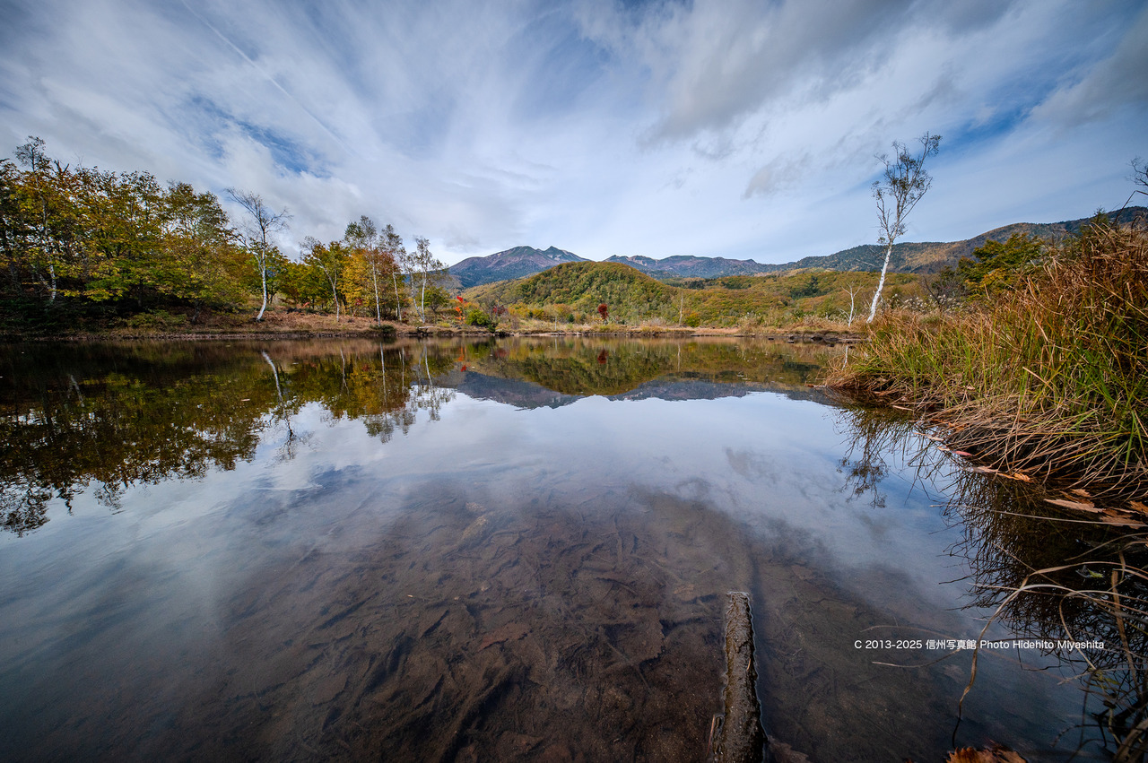 20251025-_DSC1303 のコピー