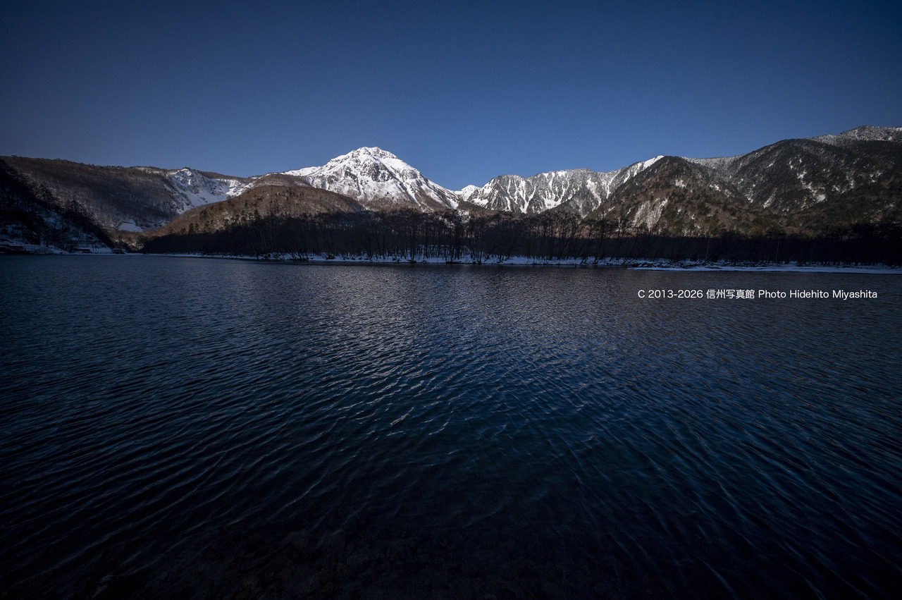 20260118-_DSC9608 のコピー