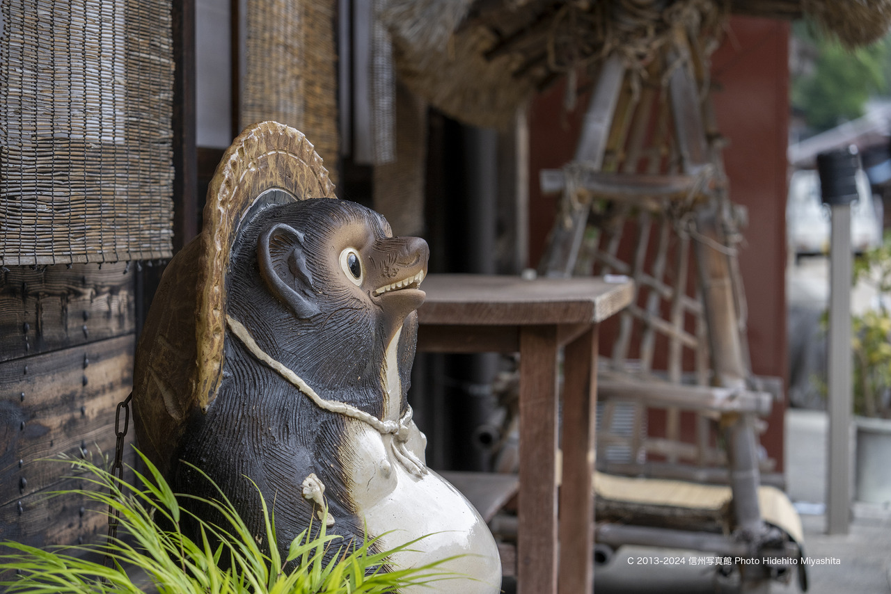 20240921-DSC_5109 のコピー