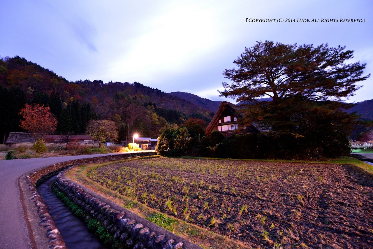 静寂の和田家