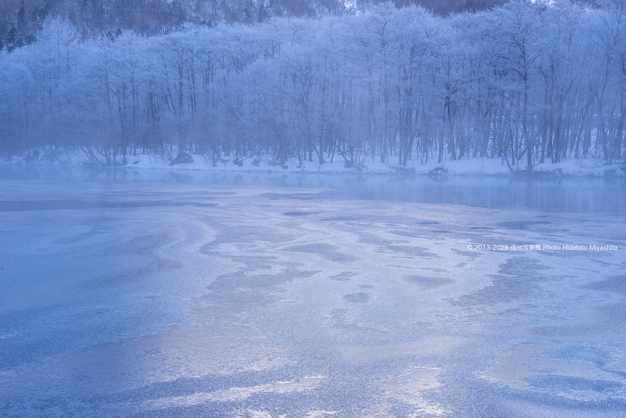 20260204-_DSC9140 のコピー