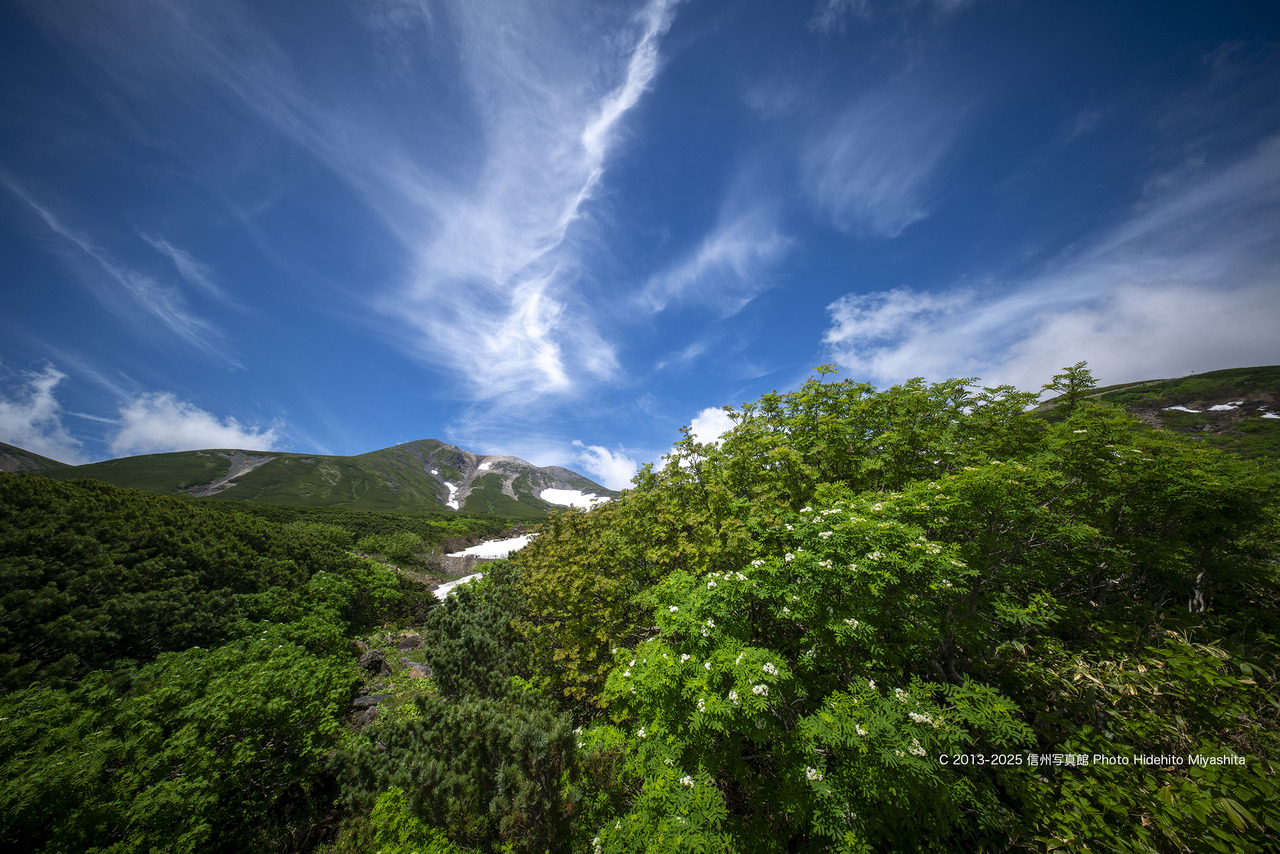 20250706-_DSC0697 のコピー