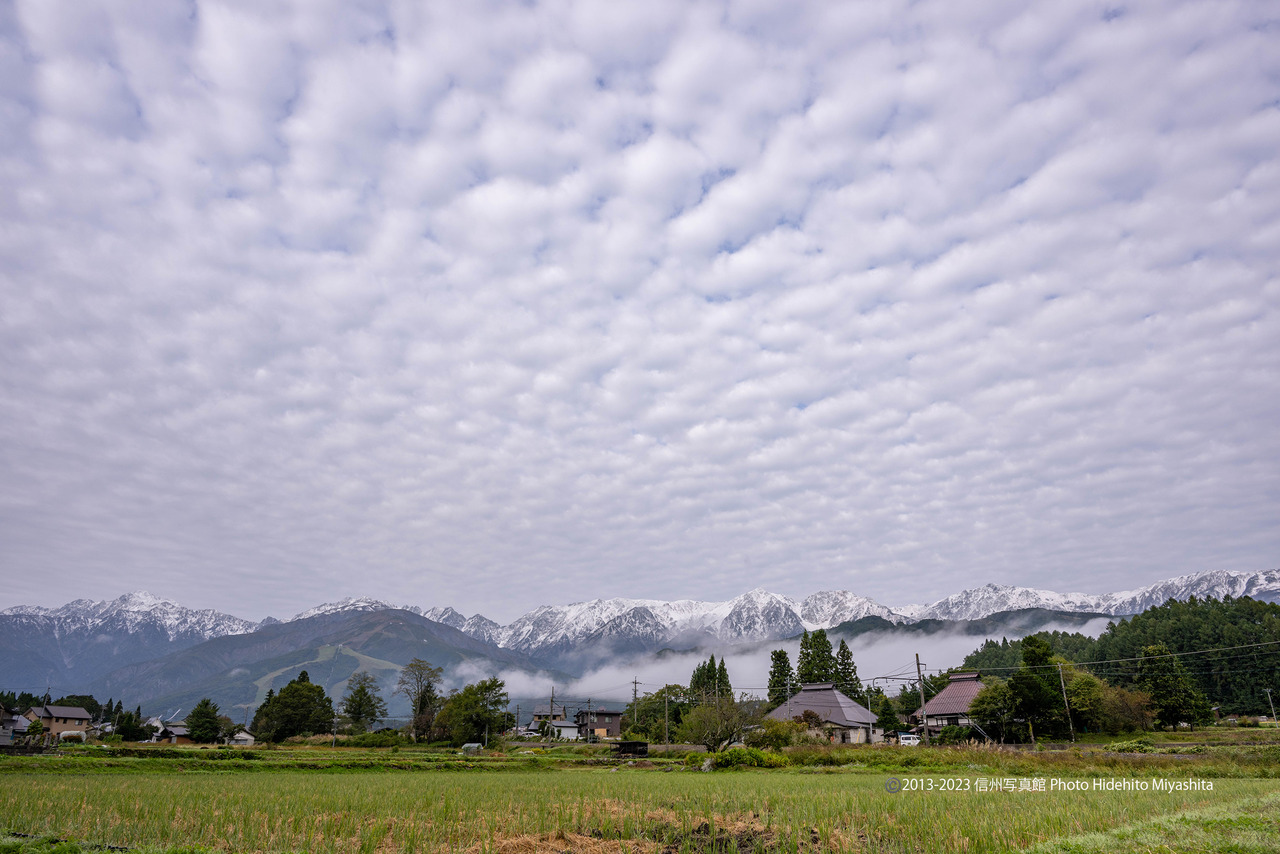 20231008-DSC_8498 のコピー