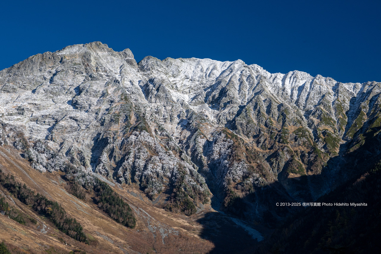 20251029-_DSC9371 のコピー