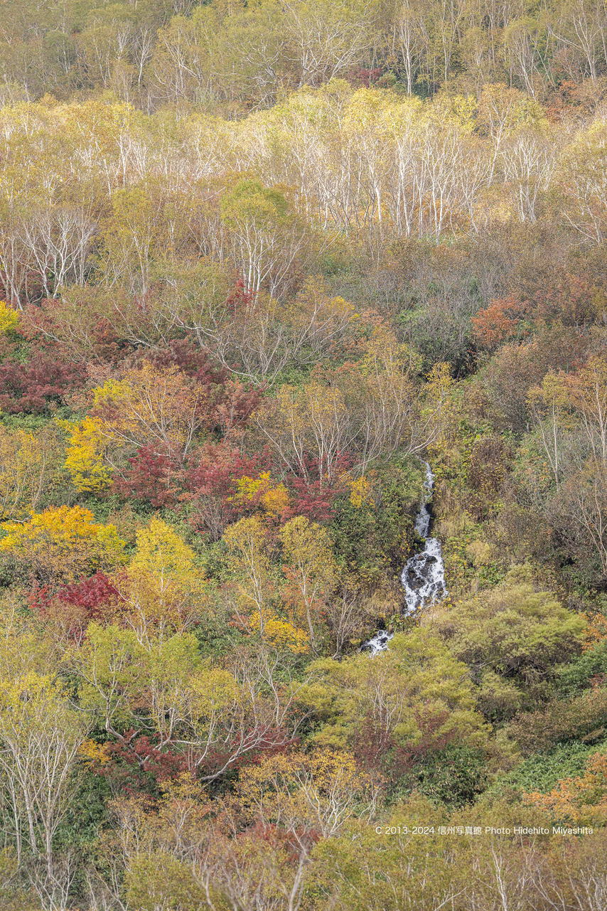 20241014-DSC_9020 のコピー